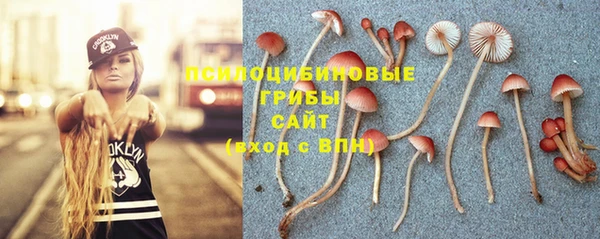 таблы Белоозёрский